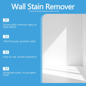 Highly Efective Mold Remover  Spray - Prevents Mold Regrowth (240 ml)