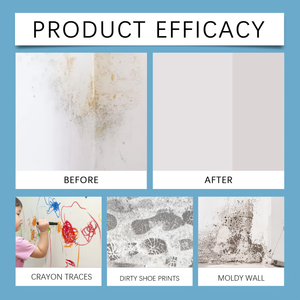 Highly Efective Mold Remover  Spray - Prevents Mold Regrowth (240 ml)