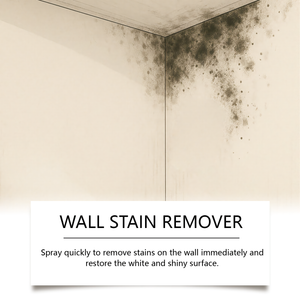 Highly Efective Mold Remover  Spray - Prevents Mold Regrowth (240 ml)